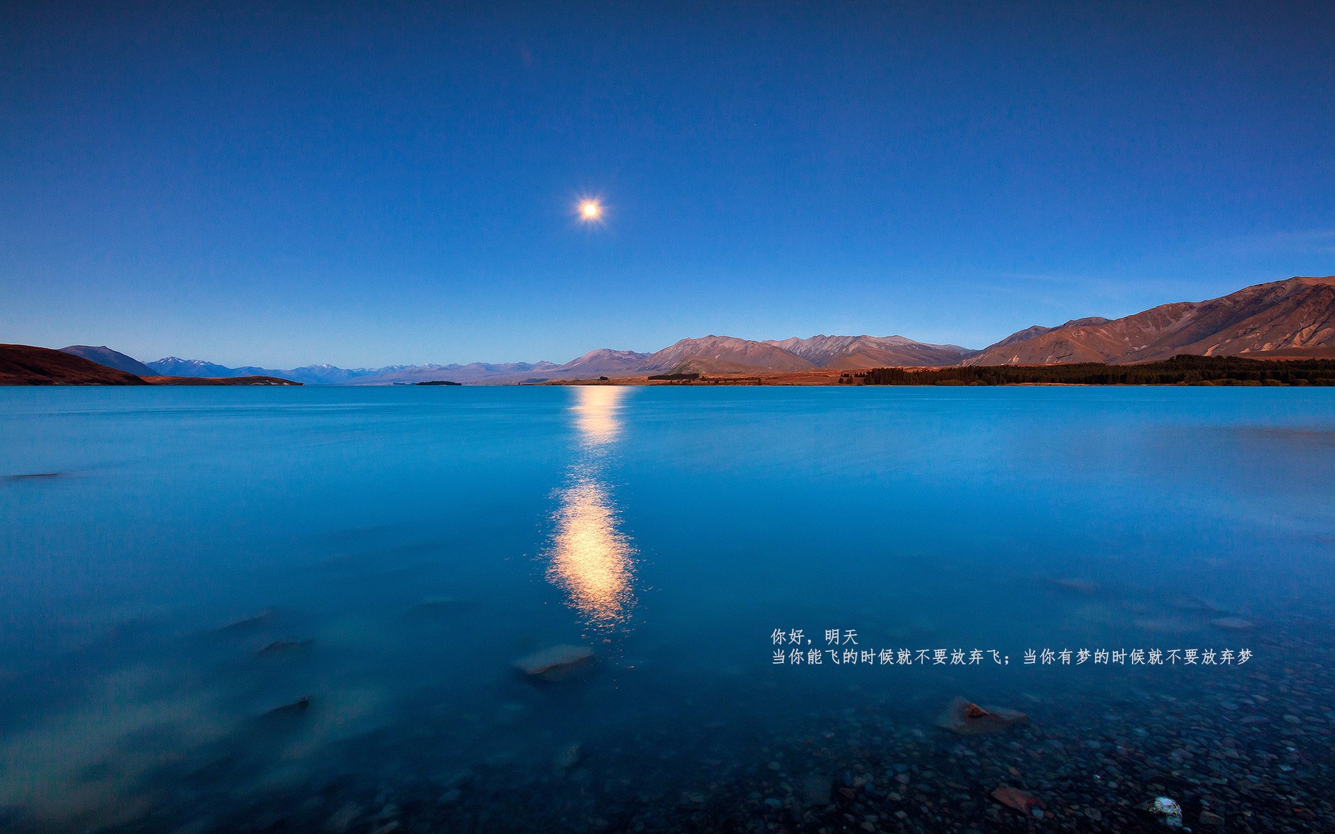 新疆男篮全队执行战术纪律展现高水平配合，新疆男篮简介
