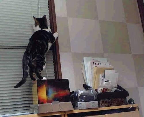 开云体育官方网入口-潜力新星：年轻球员在比赛中的爆发表现，潜力型选手