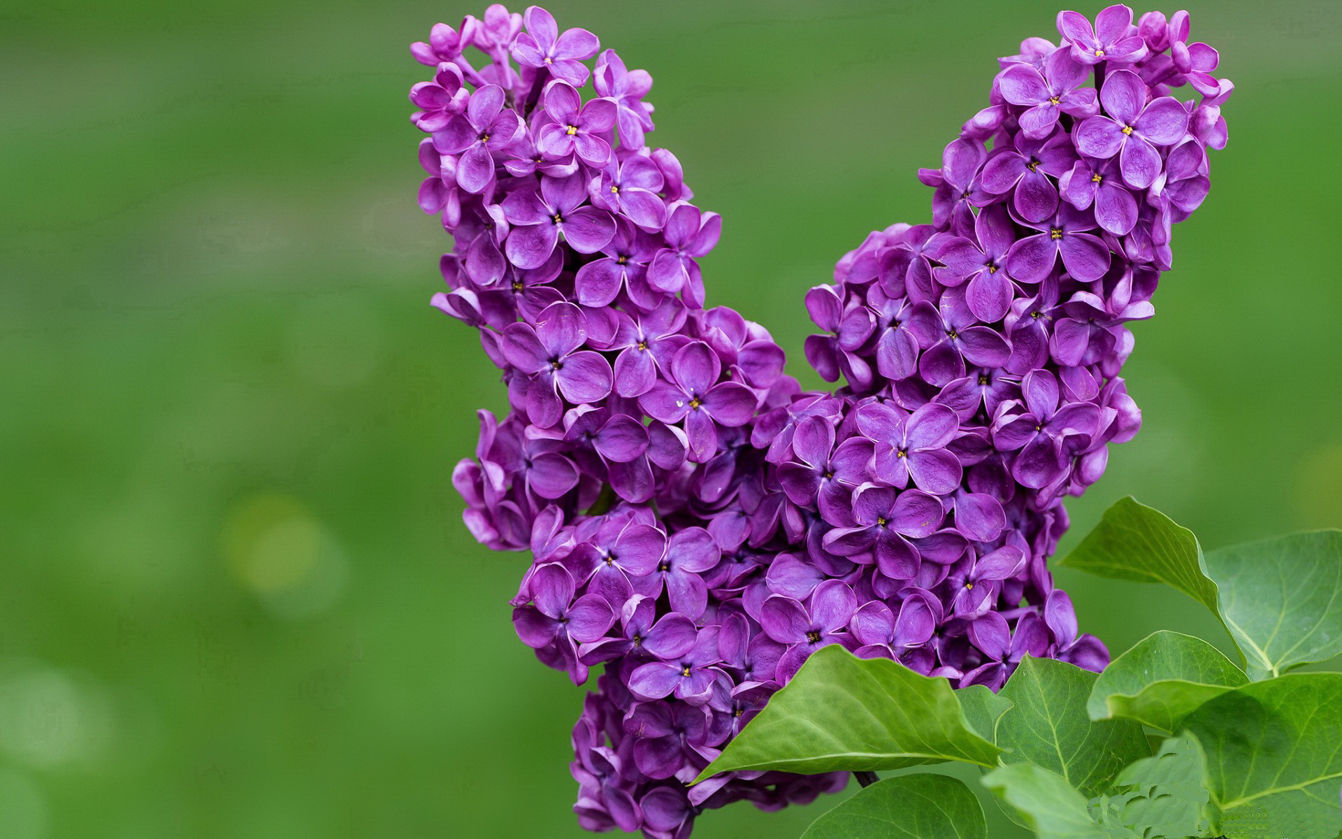 中国三人女篮积极备战国际大赛 增强实战能力，中国三人女篮视频