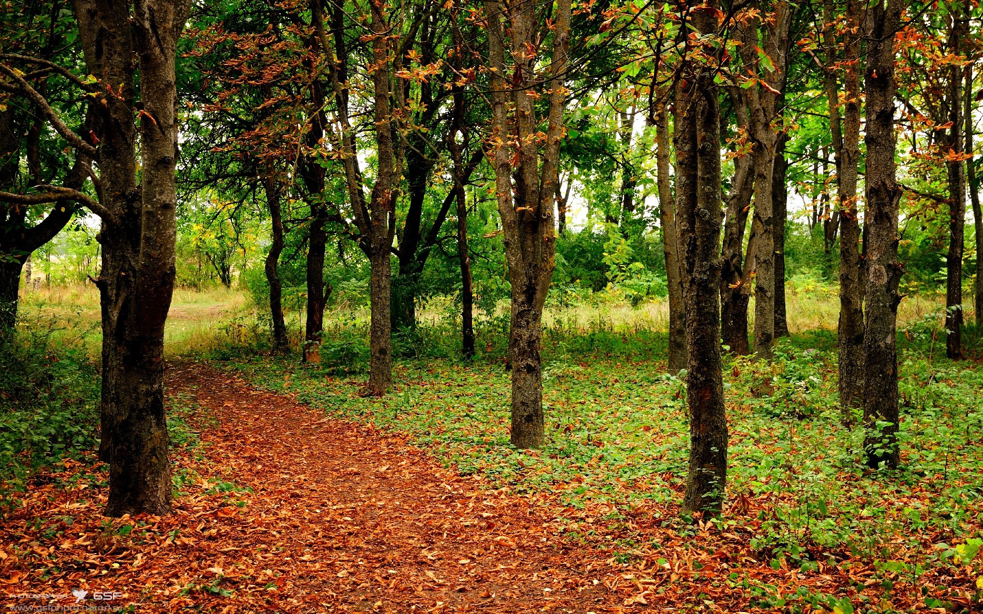 开云体育登陆入口-中国女篮全队无伤病困扰 备战节奏平稳，中国女篮阵容分析
