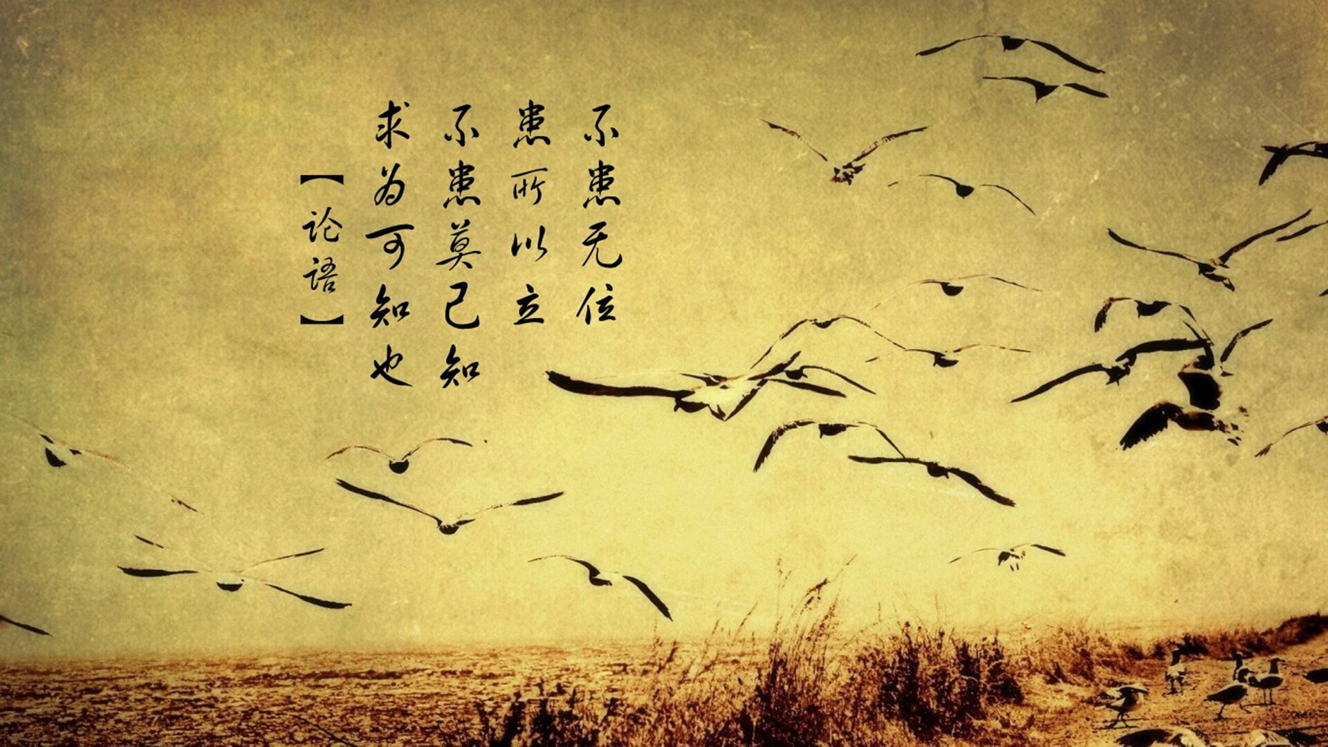 开云体育官网下载安装-职业联赛品牌缺少国际辨识度